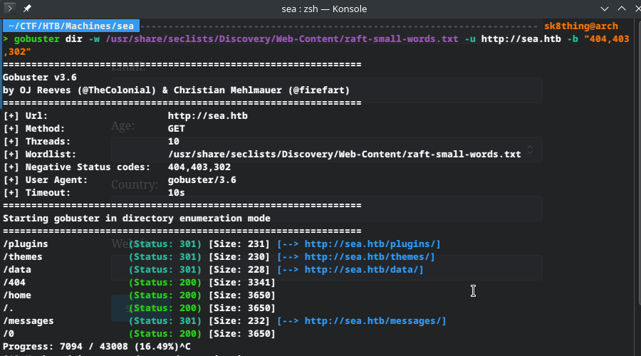 HTB Sea GoBuster index