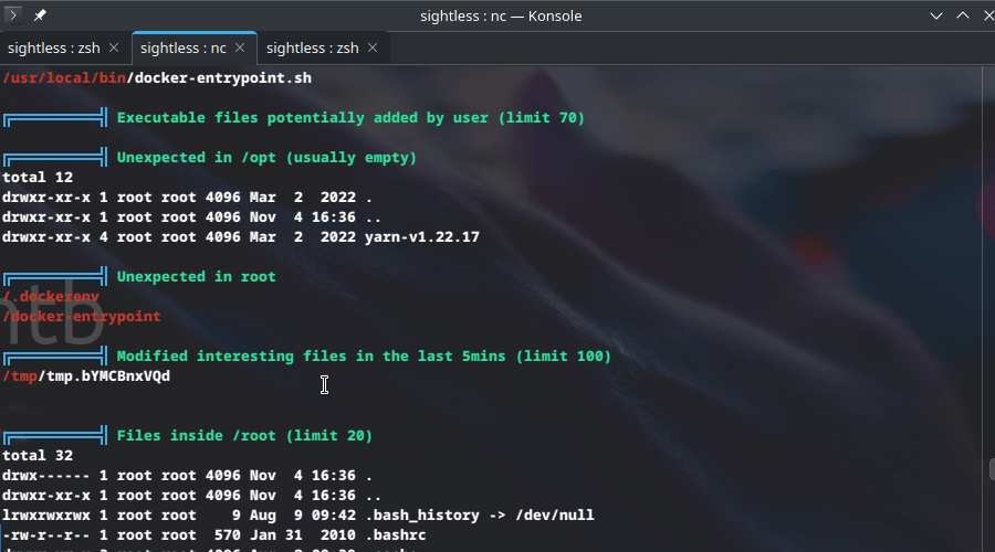HTB Sightless docker container